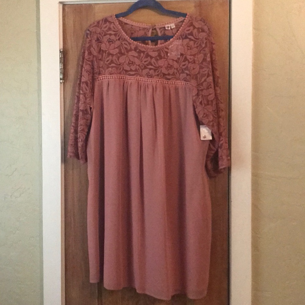 NWT: Beautiful blush colored AUW dress Size 3X